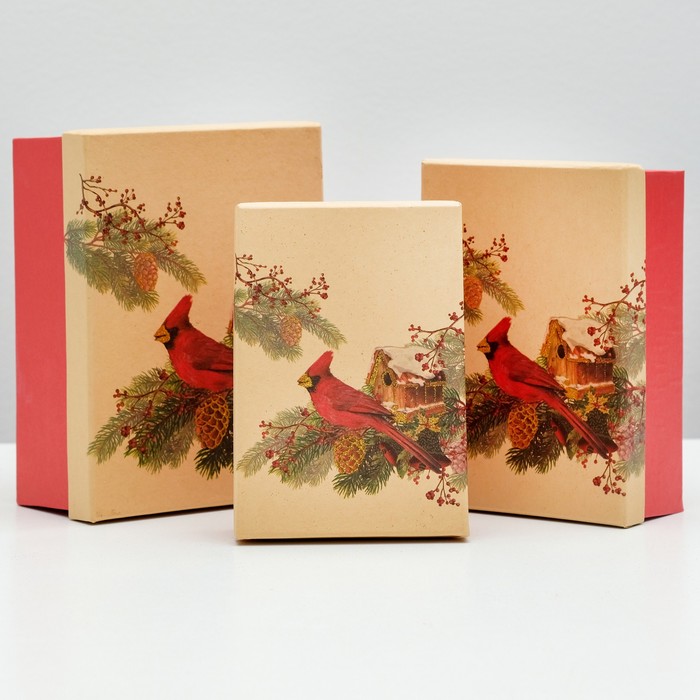 Набор коробок 3в1 "Красный кардинал", 22 х 16 х 8.5 - 18 х 12 х 5.5 см
