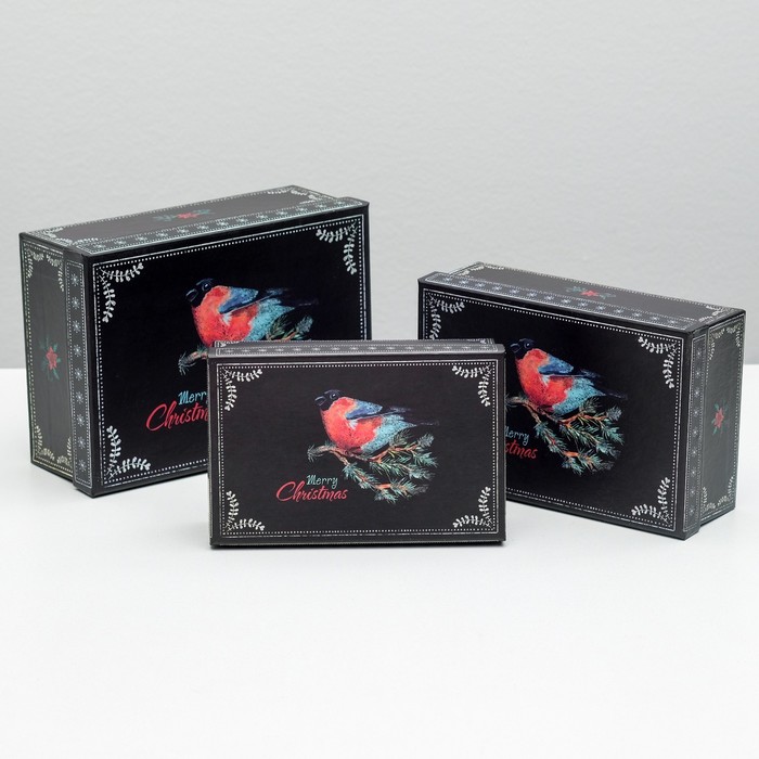 Набор коробок 3в1 "Снегирь на ветке", 22 х 16 х 8,5 - 18 х 12 х 5,5 см