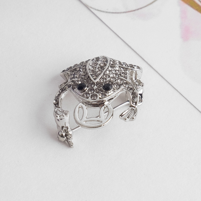 Брошь "Лягушка денежная", цвет серый в серебре