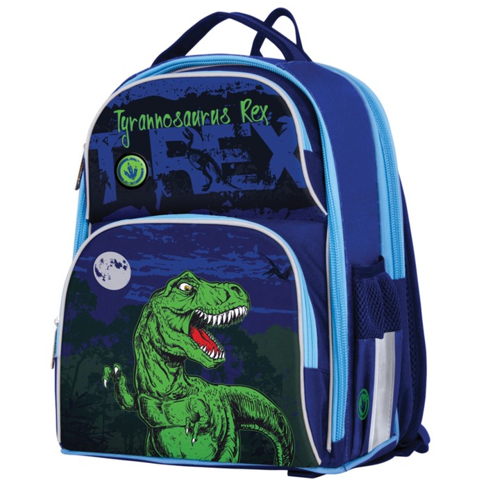 Ранец Стандарт Berlingo Medium "Dinosaur" 37 х 29 х 19 см, 2 отделения