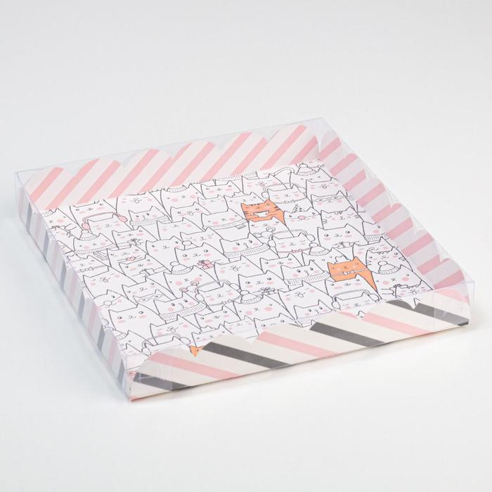 Коробка для кондитерских изделий с PVC крышкой «Котики», 21 х 21 х 3 см