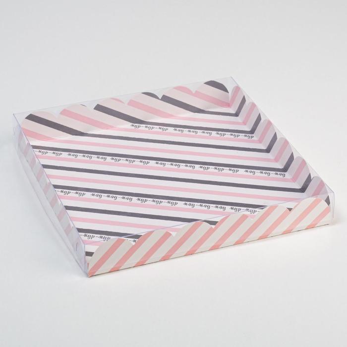 Коробка для кондитерских изделий с PVC крышкой «Котики», 21 х 21 х 3 см