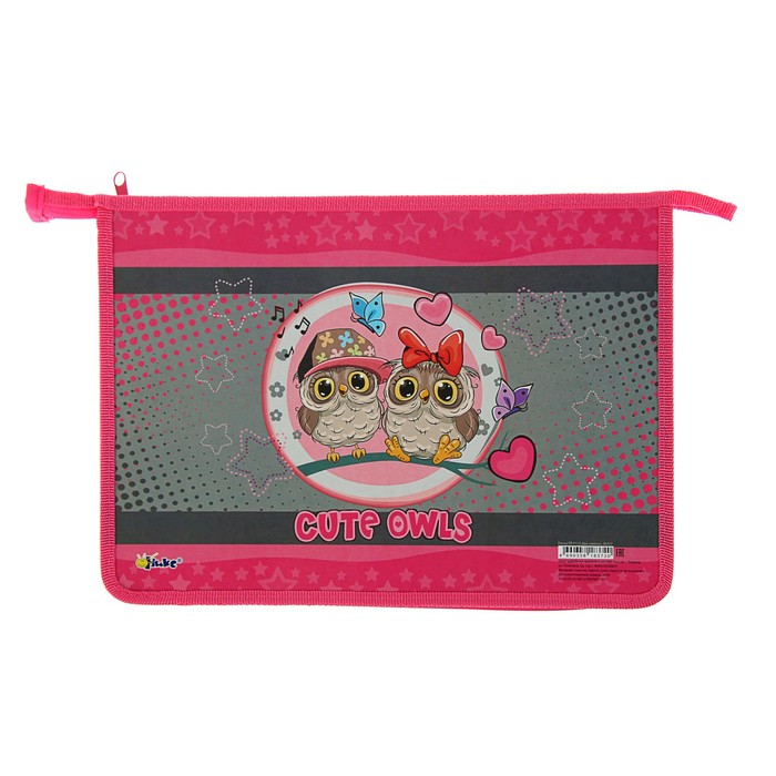 Папка д/тетрадей А4 молния сверху лам.кар/пластик ПТ-Р115 дев "Два совёнка" 2отд 56727