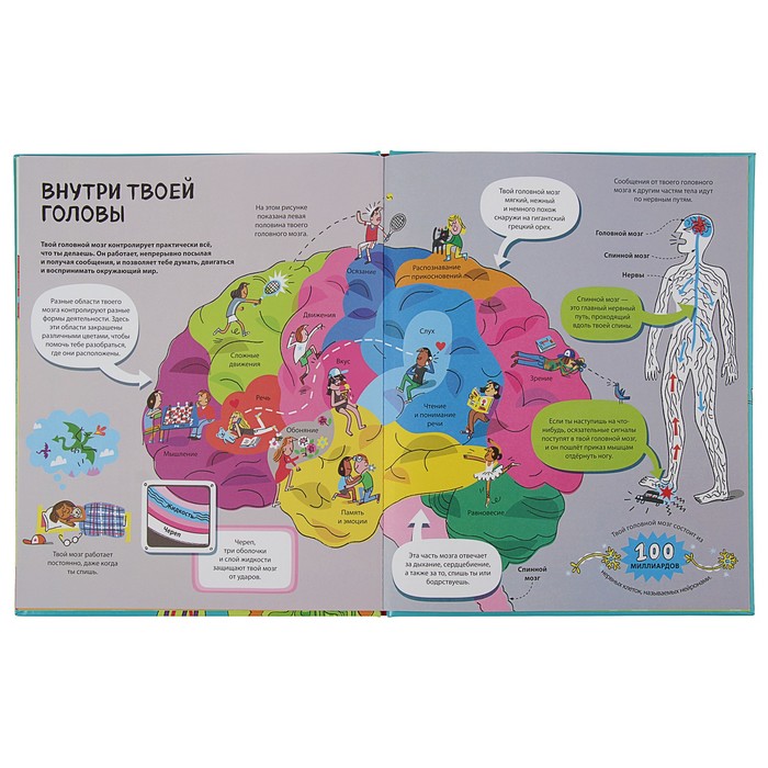 Энциклопедия для малышей (с клапанами) "Большая книга о теле человека"