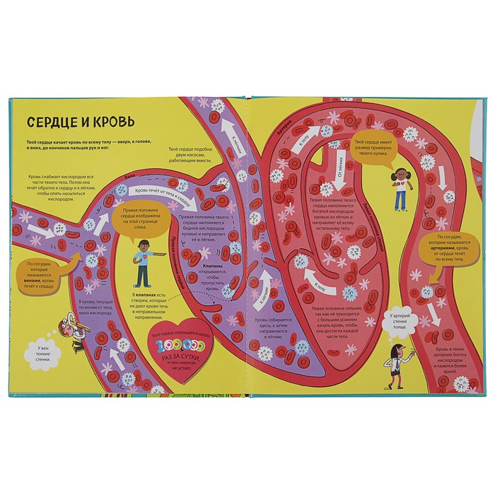 Энциклопедия для малышей (с клапанами) "Большая книга о теле человека"