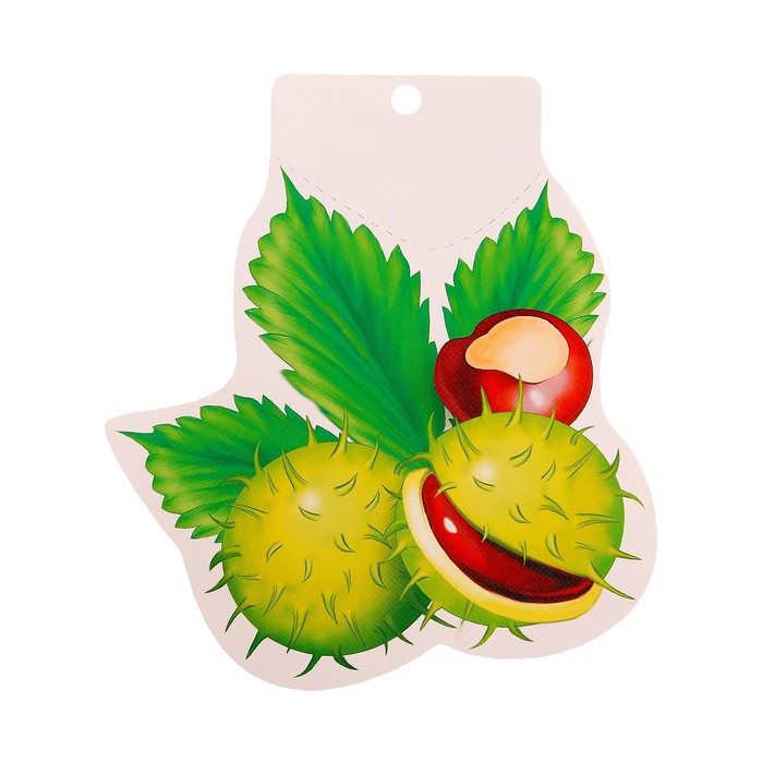 Мини-открытка "Плоды каштана", 19 x 16 см