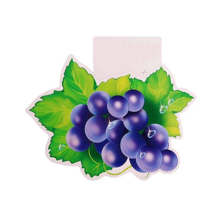 Мини-открытка "Синий виноград"