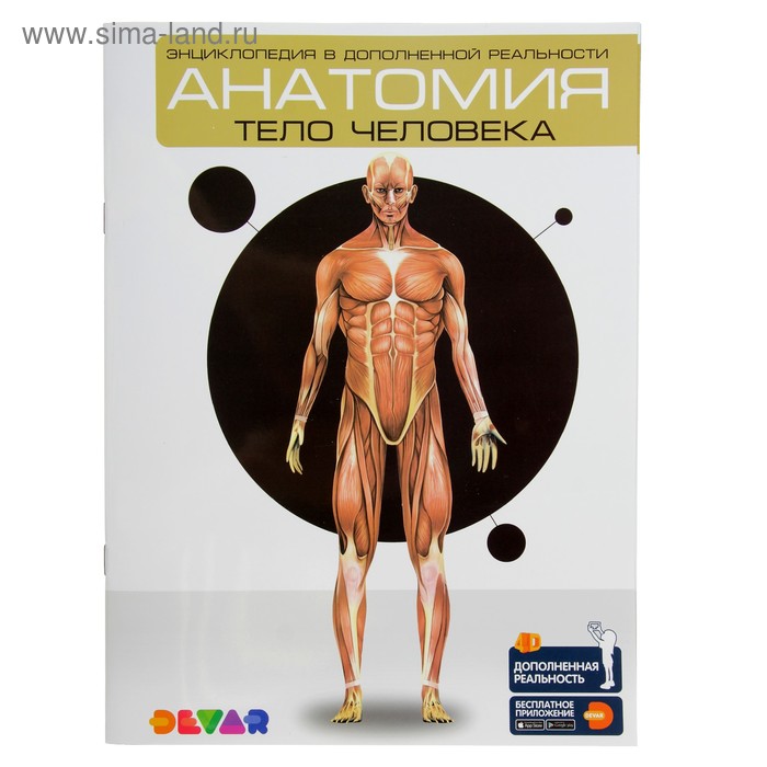 Энциклопедия 4D в дополненной реальности «Анатомия: тело человека» энциклопедия 4d в дополненной реальности анатомия органы человека
