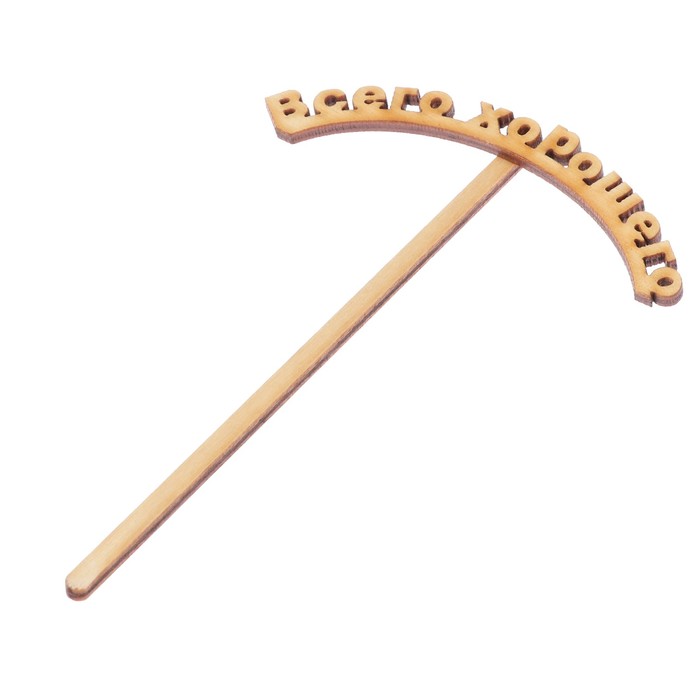 Топпер "Всего хорошего-2" из фанеры, 10х4,5 см (ТОП 00-150)