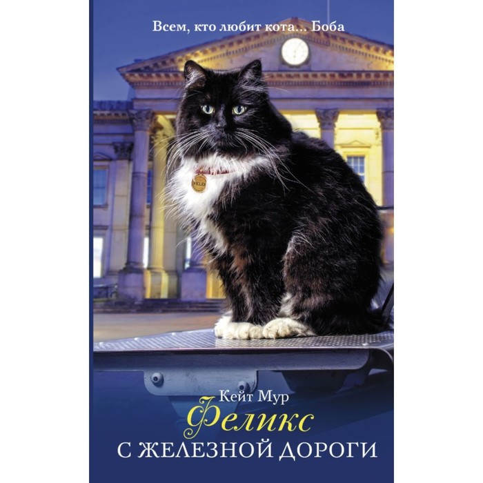ПодарокОтБоба. Феликс с железной дороги. Мур К.