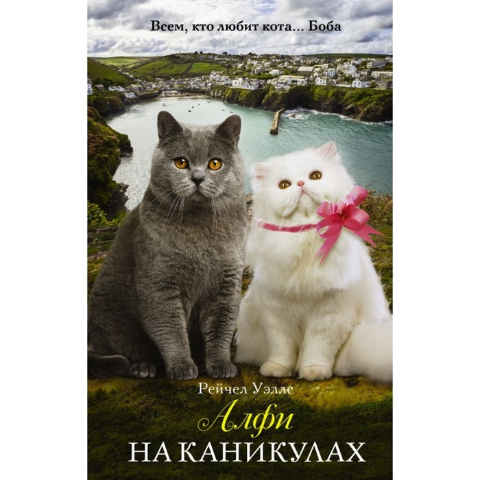 ПодарокОтБоба. Алфи на каникулах. Уэллс Рейчел