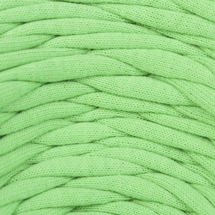 Пряжа трикотажная "Бейка стиль"  110м/370гр , ширина 7-9 мм (3011 яблочно-зелёный)