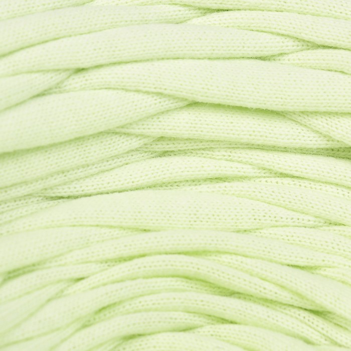 Пряжа трикотажная "Бейка стиль"  110м/370гр, ширина 7-9 мм (3003 светло-зелёный)