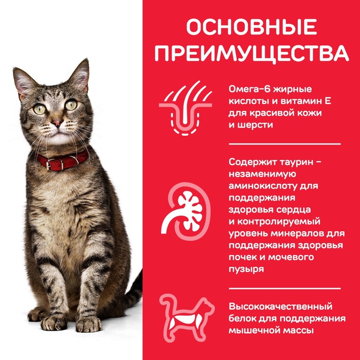 Влажный корм Hill's Cat для кошек, рыба кусочки в соусе, пауч, 85 г