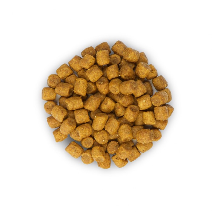 Сухой корм Hill's Cat lamb для кошек, баранина, 400 г