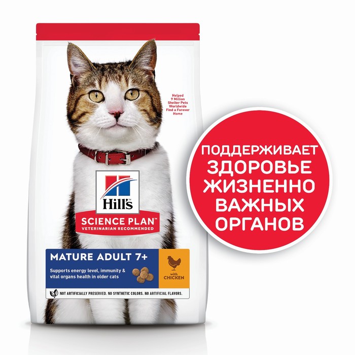 Сухой корм Hill's Cat senior для кошек старше 7 лет, 300 г