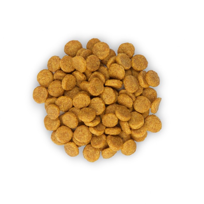 Сухой корм Hill's Cat senior для кошек старше 7 лет, 2 кг