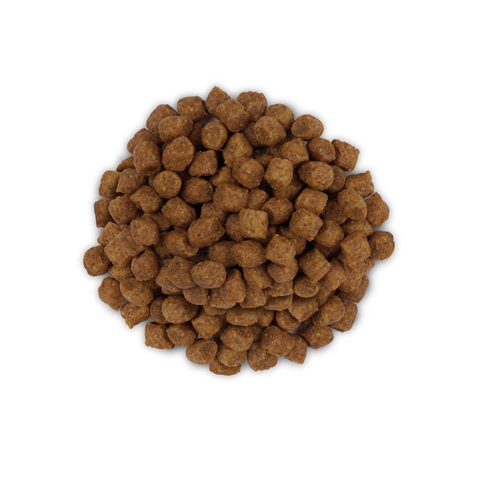 Сухой корм Hill's Cat j/d для кошек, лечение суставов, 2 кг