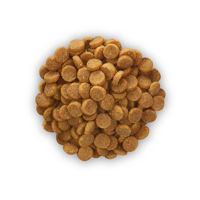 Сухой корм Hill's Cat k/d+mobility для кошек, лечение почечной недостаточности и суставов, 2 кг