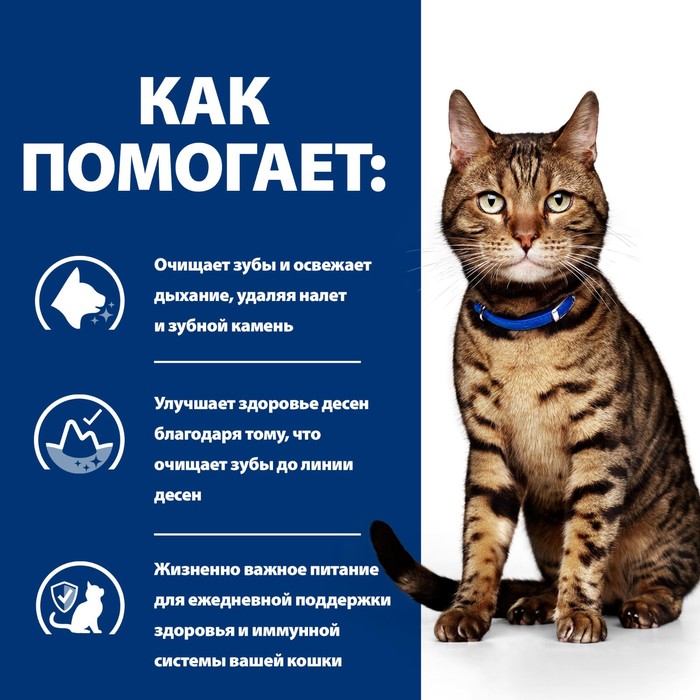 Сухой корм Hill's Cat t/d для кошек, лечение болезней полости рта, 1.5 кг
