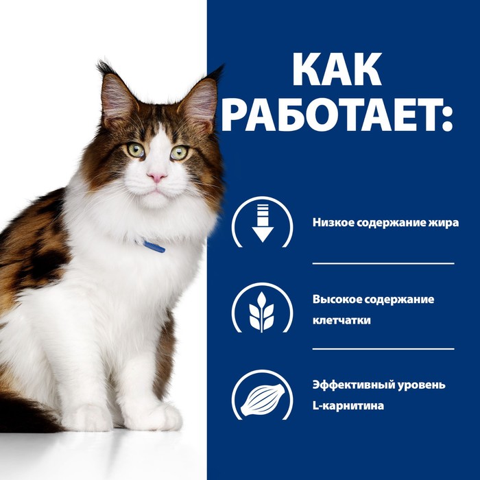 Сухой корм Hill's Cat w/d для кошек, профилактика ожирения, лечение диабета, 1.5 кг