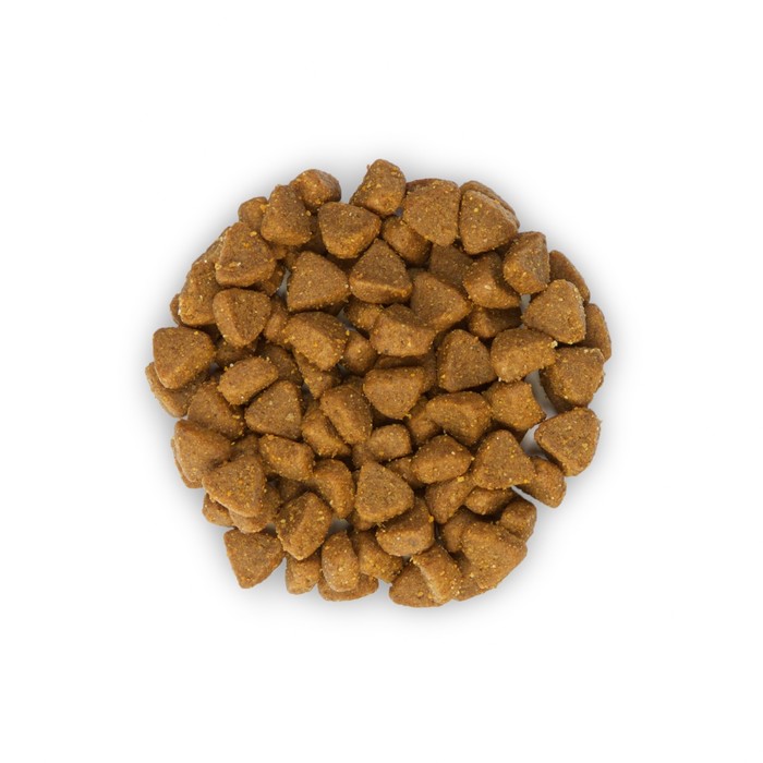 Сухой корм Hill's Kitten tuna для котят, рыба, 2 кг