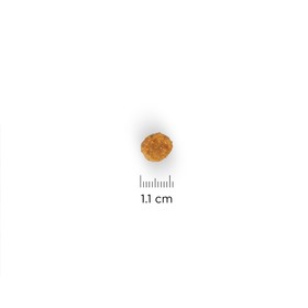 

Сухой корм Hill's Dog mini для собак мелких пород, 2.5 кг