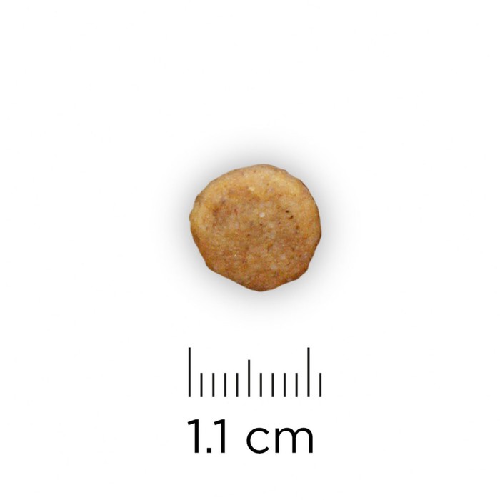 Сухой корм Hill's Dog k/d для собак, лечение II стадии почечной недостаточности, 2кг