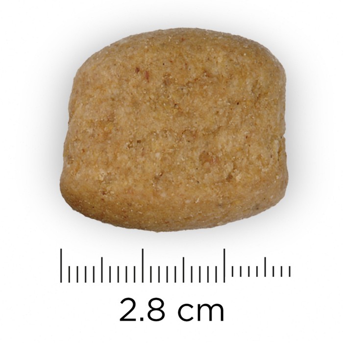 Сухой корм Hill's Dog t/d для собак, лечение болезней полости рта, 3 кг