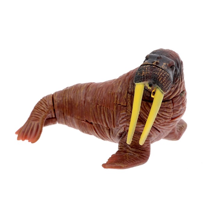 3D пазл "Полярные обитатели", 4 вида, МИКС