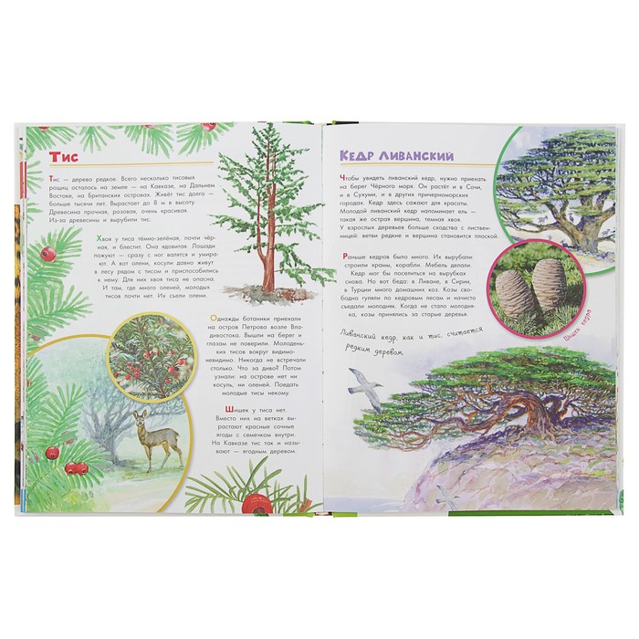 Вопросы и ответы "О животных и растениях"