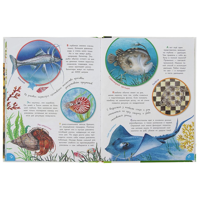 Вопросы и ответы "О животных и растениях"