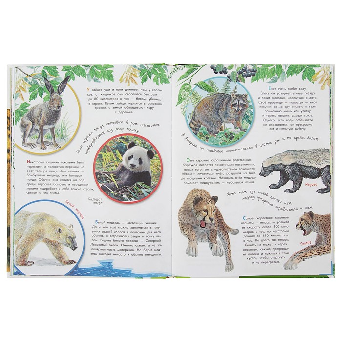 Вопросы и ответы "О животных и растениях"