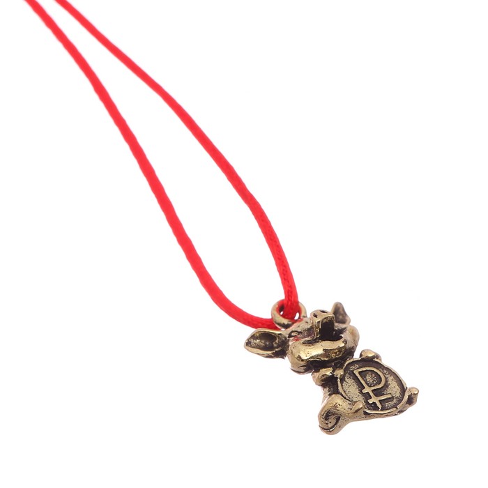 Кошельковый талисман "Приношу деньги в дом" Символ года 2019