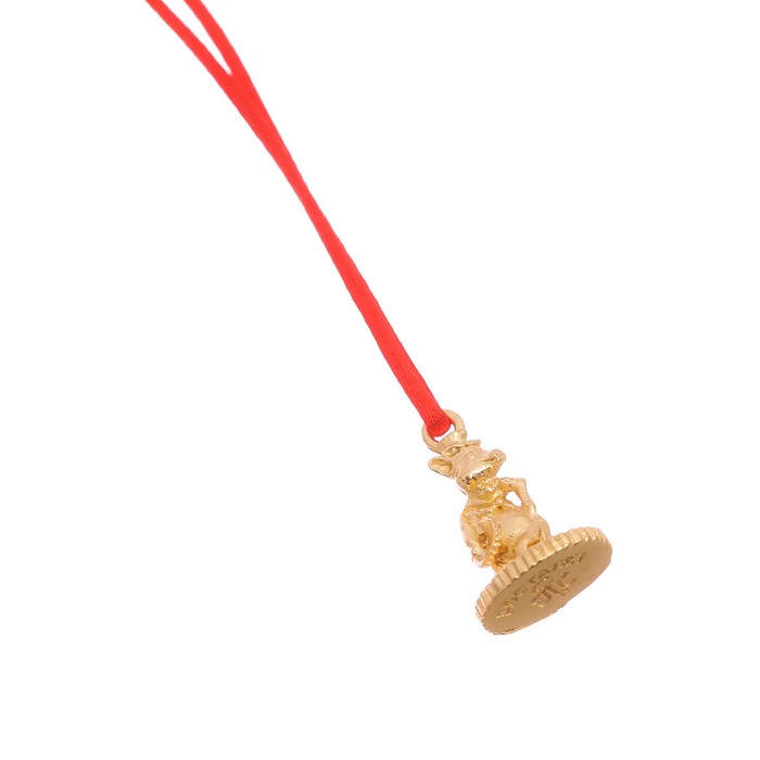 Кошельковый талисман "Удачи" Символ года 2019