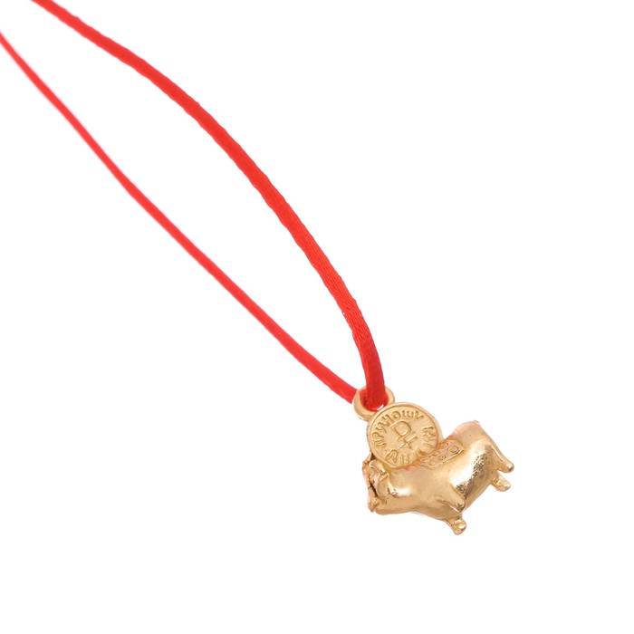 Кошельковый талисман "Богатые дни ждут в год свиньи!" Символ года 2019