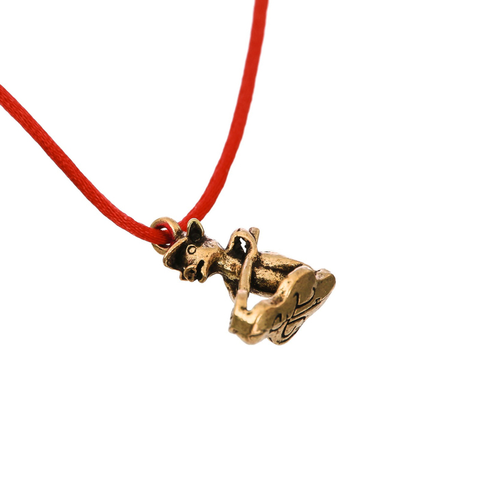 Кошельковый талисман "Успешного года"