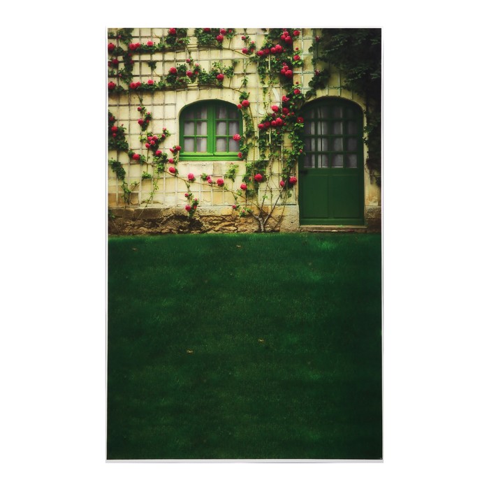 Фотофон винил "Зелёная дверь" стена+пол 80х125 см