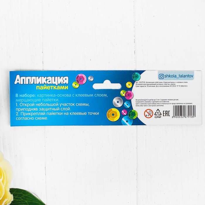 Аппликация пайетками "Чудесный день!" 21*29,7 с клеевым слоем + 6 цветов пайеток