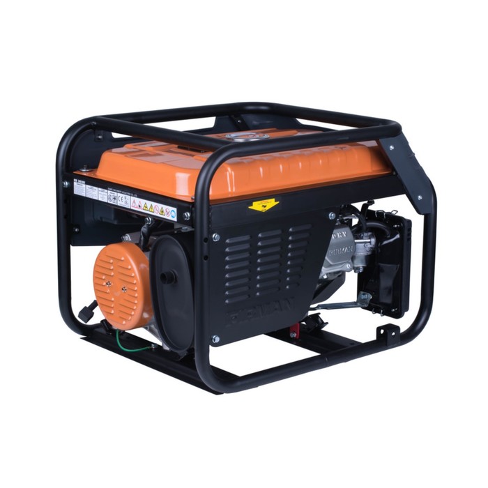 Генератор бензиновый FIRMAN RD3910E