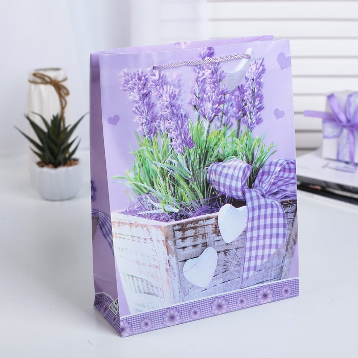 Пакет пластиковый 34 х 26,5 х 8,3 см