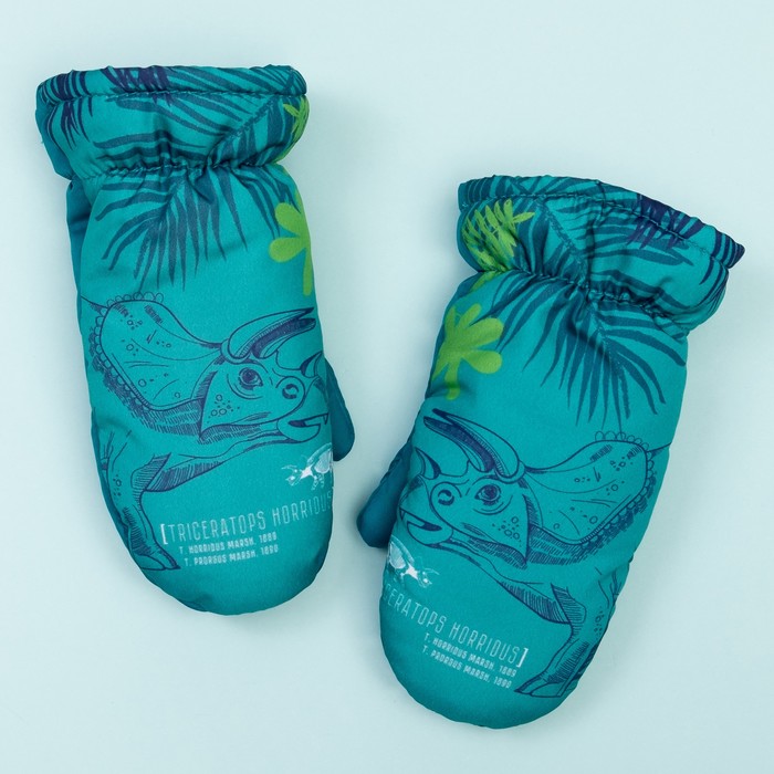 Варежки зимние KAFTAN "Дино" 3-4 года