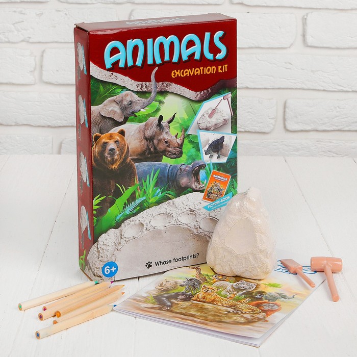 Набор для проведения раскопок "Животные" раскраска + 6 цветов карандашей