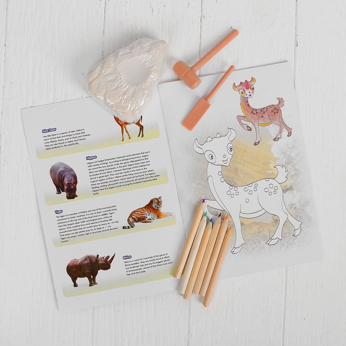 Набор для проведения раскопок "Животные" раскраска + 6 цветов карандашей