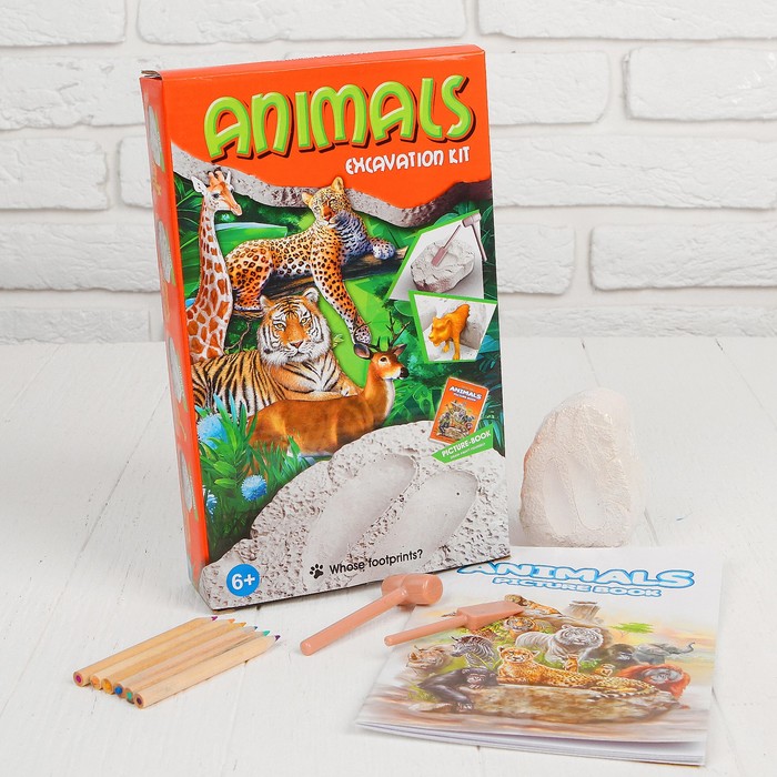 Набор для проведения раскопок "Животные Африки" раскраска + 6 цветов карандашей