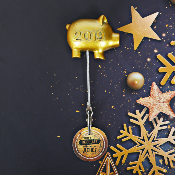 Магнит с держателем "Денежный"