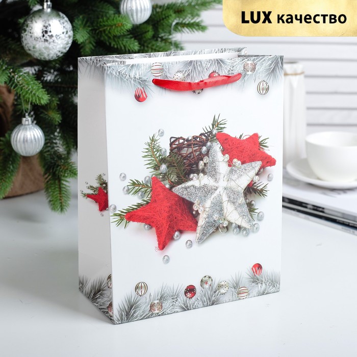 Пакет подарочный "Звёздочки", люкс, 18 х 9 х 23 см