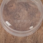 Контейнер круглый Доляна, пищевой, 150 мл, цвет сиреневый - Фото 4