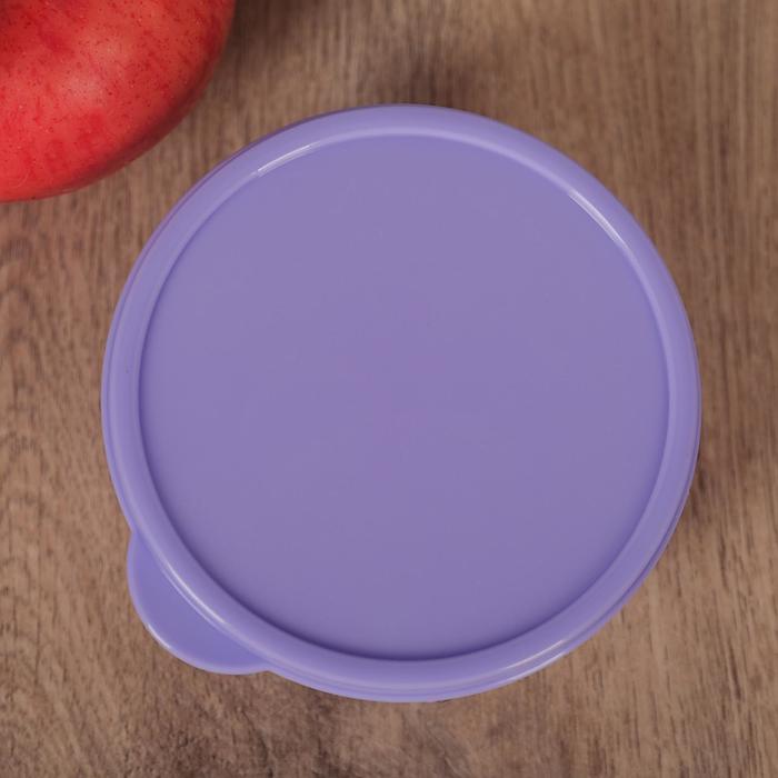 Контейнер пищевой 300 мл, цвет сиреневый