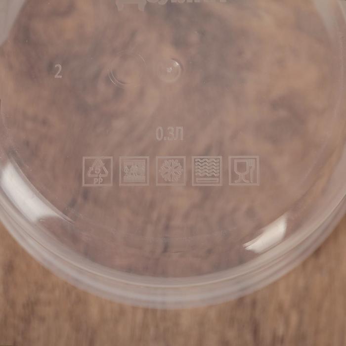 Контейнер пищевой 300 мл, цвет сиреневый